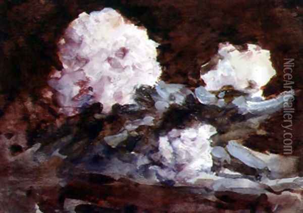 Rhododendrons Oil Painting - Hercules Brabazon Brabazon