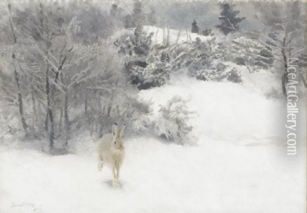 Hare I Vinterlandskap Oil Painting - Bruno Andreas Liljefors