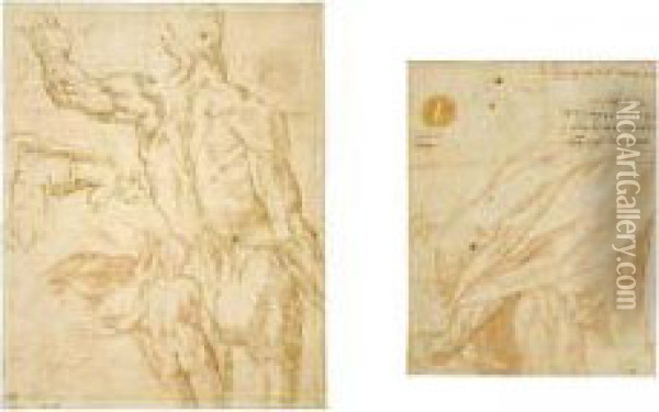 Figure Studies: A Standing Male 
Nude Seen From Behind, A Female Nude Seen From Behind, A Kneeling Woman,
 A Right Eye Oil Painting - Jacopo Zanguidi, Called Jacopo Bertoija