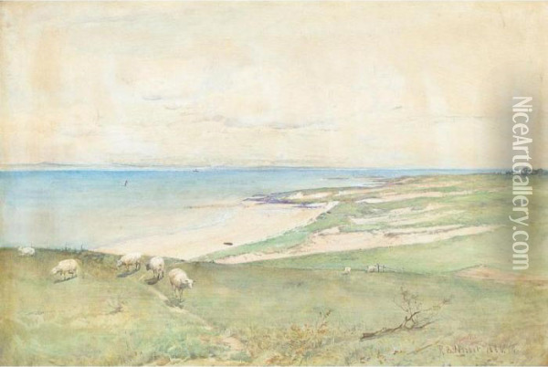 Sheep On A Headland Oil Painting - Robert Buchan Nisbet