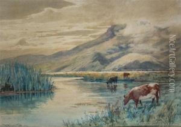 Cattle Grazing, Canterbury Oil Painting - William Menzies Gibb