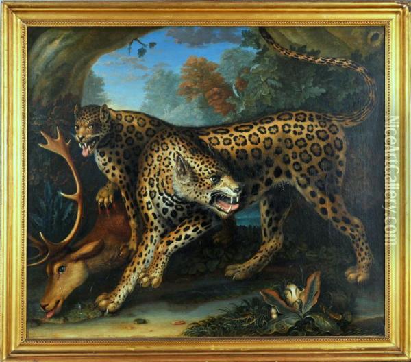 Leopards With Their Kill Oil Painting - John Baudenbach