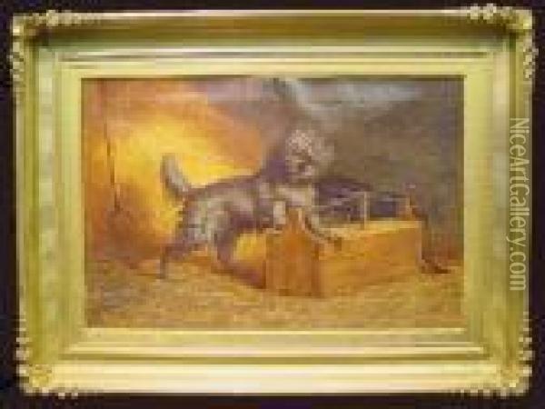 The Ratter Oil Painting - James John Hill