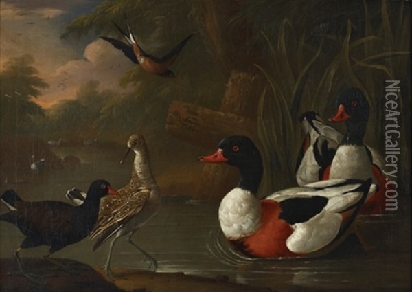 Landscape With Ducks Oil Painting - Charles Collins
