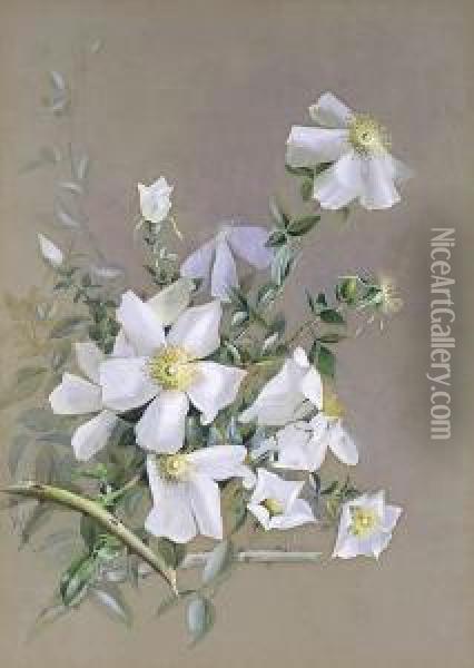 Roses Oil Painting - Marian Ellis Rowan