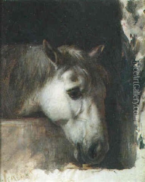 Study Of A Horse's Head Oil Painting - Henry Garland
