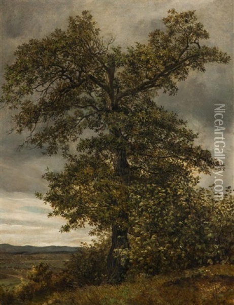 Baum In Der Landschaft Oil Painting - Johann Novopacky
