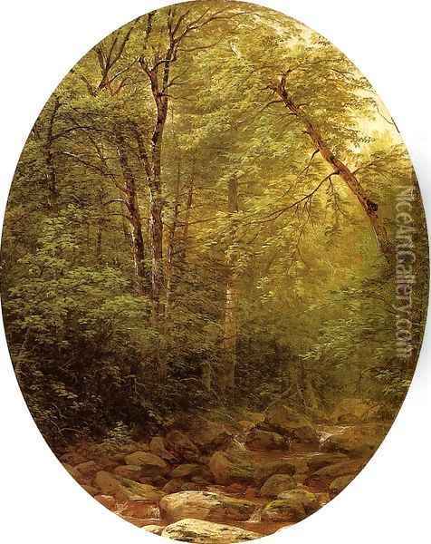Above the Falls Catskill 1862 Oil Painting - John William Casilear