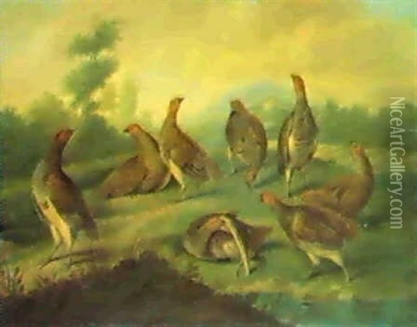 A Covey Of Partridges In An Extensive Wooded Landscape,     With A House Beyond Oil Painting - Stephen Elmer