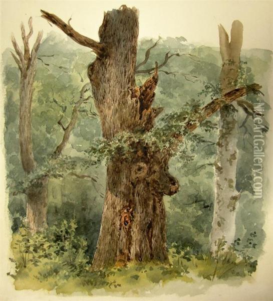 Waldlandschaft Mit Absterbendem Baum Oil Painting - Eduard Emil August Leonhardi