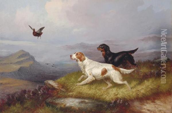 Setters Putting Up A Grouse Oil Painting - Colin Graeme Roe