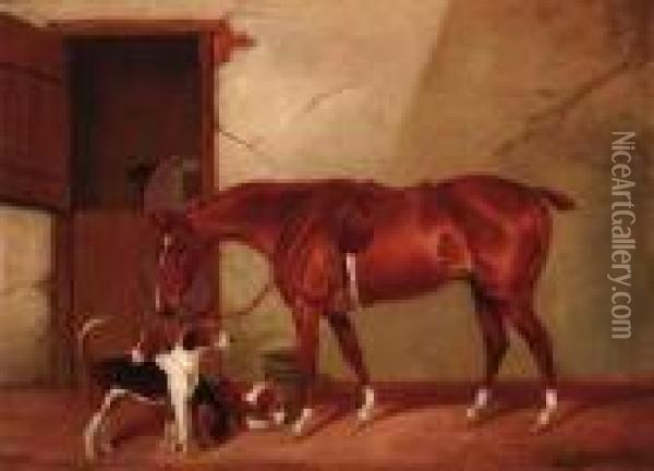 A Chestnut Hunter With Three Hounds Outside A Stable Oil Painting - Colin Graeme Roe