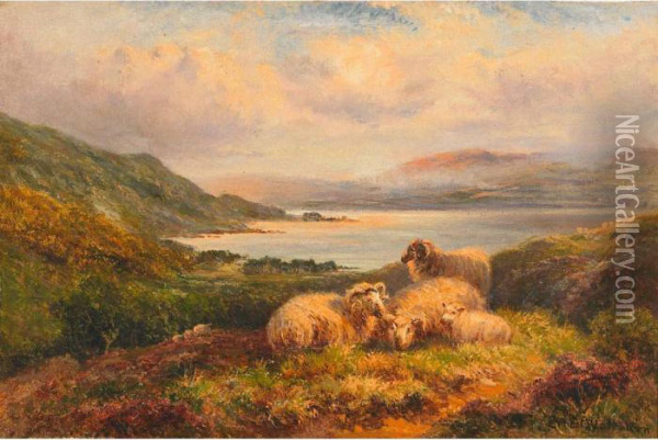 Highland Sheep Oil Painting - Ernst Walbourn