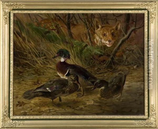 Two Ducks With Lurking Fox. Oil Painting - Thomas Mower Martin