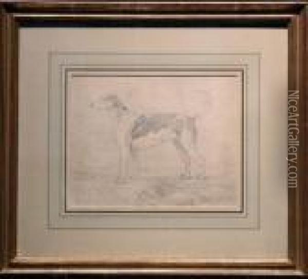 A Hound In A Landscape Oil Painting - Sawrey Gilpin