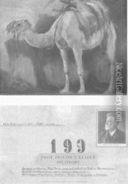 Kamel In Jaffa Oil Painting - Friedrich von Keller