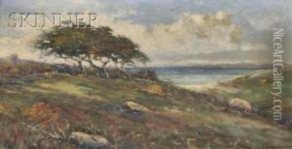 Coastal View With Windswept Pine, Autumnfoliage Oil Painting - Louis H. Richardson