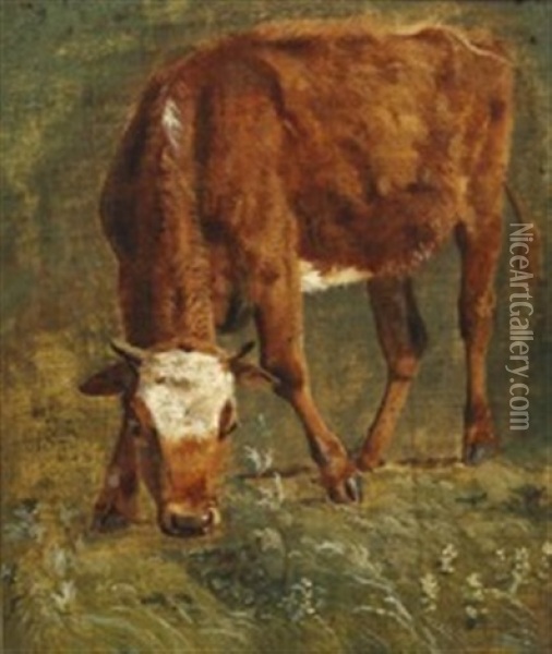 Grazing Red Heifer Oil Painting - Johan Thomas Lundbye