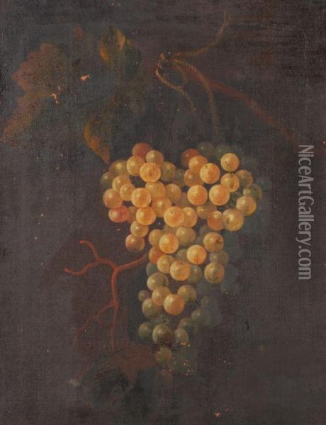 Still Life Of Grapes Oil Painting - Thomas Keyse Gloucester