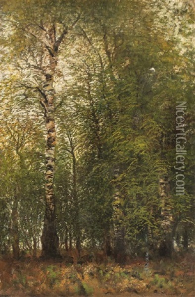 Birkenwald Oil Painting - Laszlo Mednyanszky