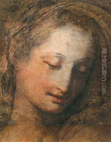 Face of a Woman with Downcast Eyes Oil Painting - Federico Fiori Barocci