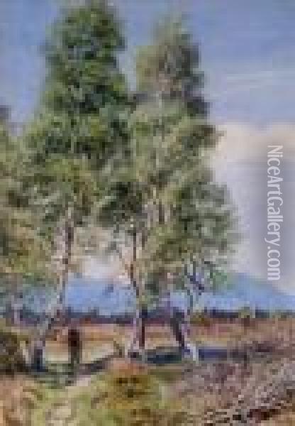 Silver Birches Ataviemore, Scotland Oil Painting - Gertrude Martineau