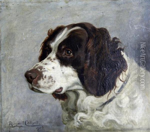 Portrait Of A Springer Spaniel Oil Painting - Margaret Collyer