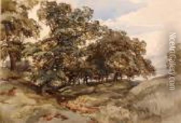A Norfolk Wooded Landscape Oil Painting - John Middleton