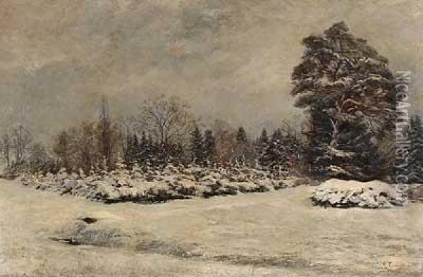Tannenschonung Im Winter Oil Painting - Max Correggio