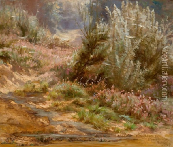 Wildflowers By A Stream Oil Painting - Elizabeth Strong
