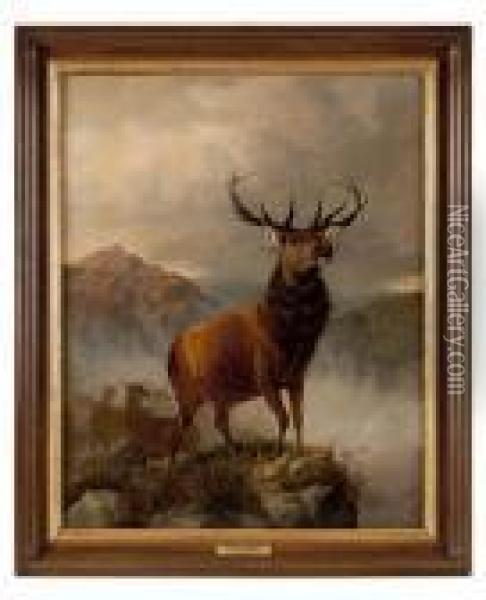 Monarch Of The Glen Oil Painting - Landseer, Sir Edwin