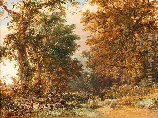 Woodland Clearing With Sheep And Farmer Resting Oil Painting - James Duffield Harding