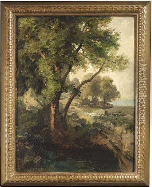 Rocky Landscape With Trees At A Shoreline. Oil/cardboard/cardboard, Signed Oil Painting - Edmund Friedrich Kanoldt
