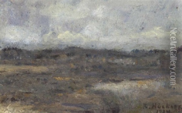 Landschaft In Rissen, Beim Haidehof Oil Painting - Rudolf Hoeckner