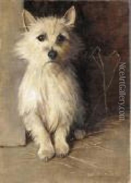 A West Highland Terrier Oil Painting - Samuel Fulton