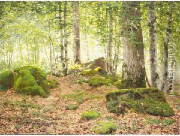 Forest At Fontainbleau Oil Painting - Jean Ferdinand Monchablon