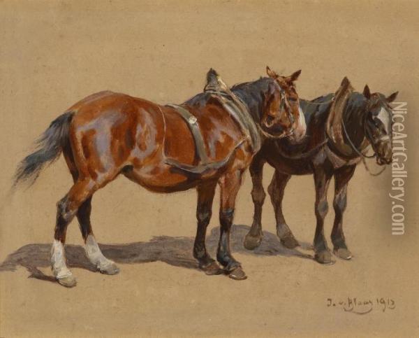 Two Draught Horses Oil Painting - Julius von Blaas