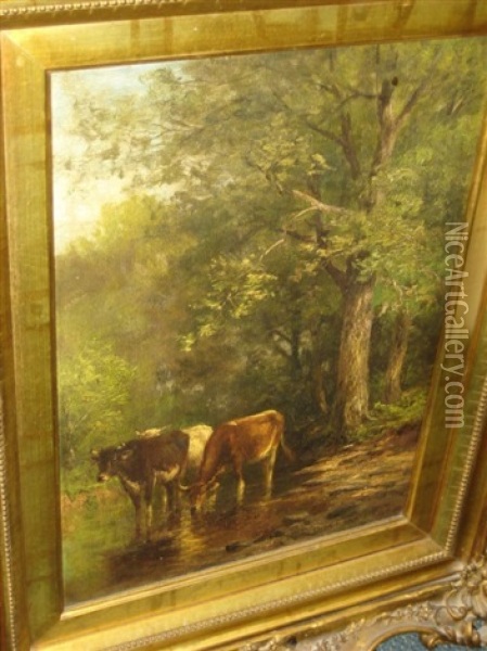 Cows Watering Among Trees Oil Painting - Thomas Bigelow Craig