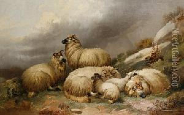Sheep In A Highland Landscape Oil Painting - Alfred Morris