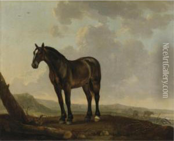Portrait Of A Horse In A Landscape Oil Painting - Abraham Van Calraet