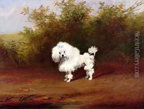 A Toy Poodle in a Landscape Oil Painting - Frederick French