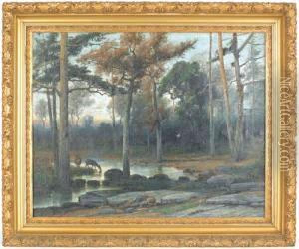 Landscape With Deer Drinking From A Stream Oil Painting - Christopher H. Shearer