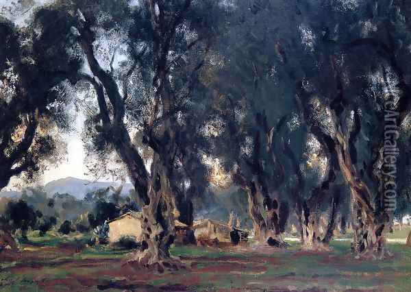 Olive Trees at Corfu Oil Painting - John Singer Sargent