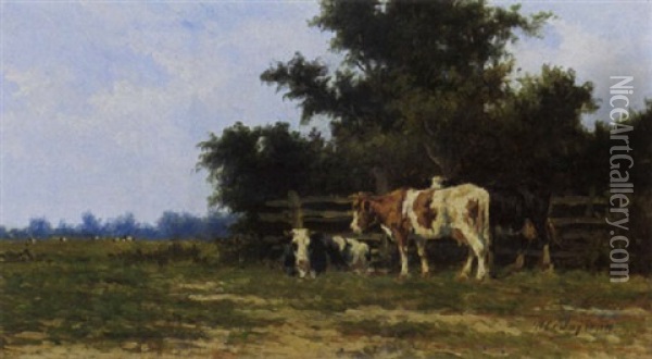 Cattle In A Sunny Meadow Oil Painting - Herman Bogman I