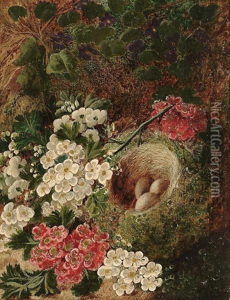 Still Life With Flowers And A Birds Nest On Mossy Bank Oil Painting - Oliver Clare