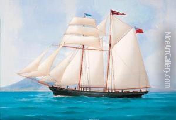 The British Schooner Pluvier Under Full Sail Off Naples Oil Painting - Atributed To A. De Simone