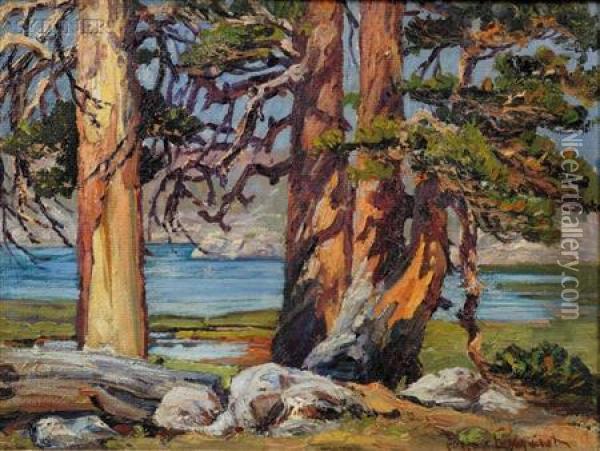 Landscape With Redwoods, Five Lakes Basin, Sierra Nevada,california Oil Painting - Eugene Franquinet