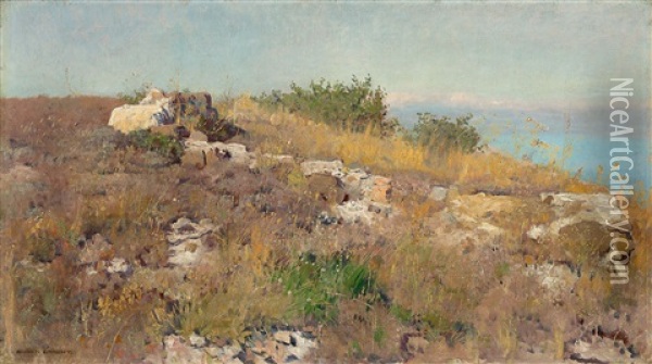 Vordergrundstudie Am Mittelmeer Oil Painting - Eugen Felix Prosper Bracht