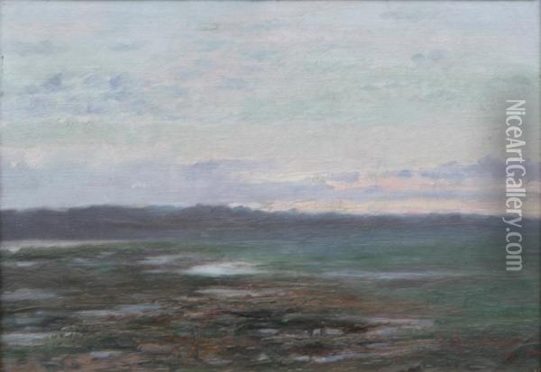 Myrlandskap Oil Painting - Erik Abrahamsson