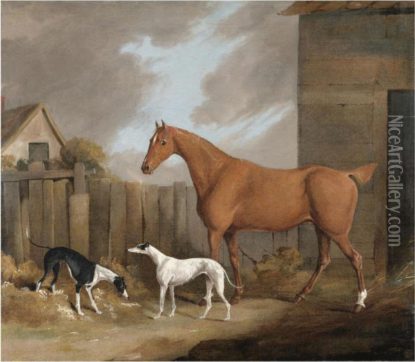 A Chestnut Hunter With Two Greyhounds In A Stable Yard Oil Painting - James Barenger